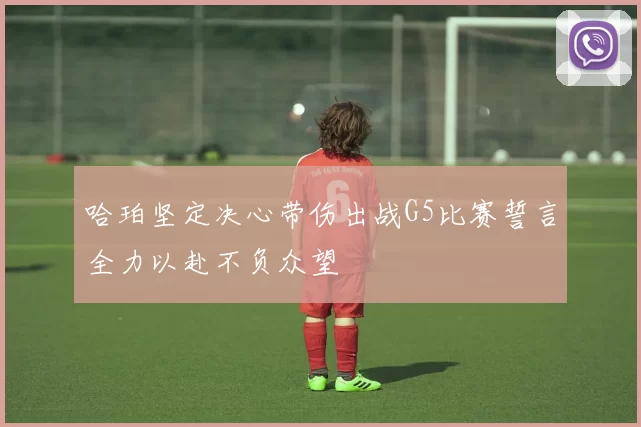 哈珀坚定决心带伤出战G5比赛誓言全力以赴不负众望